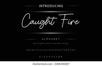 Caught Fire signature Font Calligraphy Logotype Script Brush Font Type Font lettering handwritten