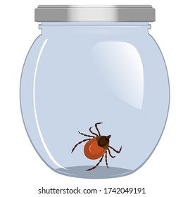 Caught mite in the jar. Locked the mite in the vessel. Vector illustration
