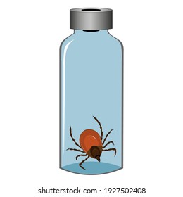 Caught mite in the jar. Locked the mite in the vessel. Vector illustration