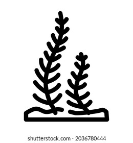 caulerpa taxifolia seaweed line icon vector. caulerpa taxifolia seaweed sign. isolated contour symbol black illustration