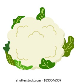 Vector de flores del Cauli. Ilustración de icono vegetal. Bien hecho para la industria de verduras y granjas