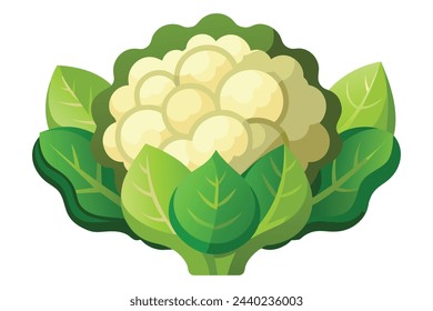 Ilustración de vector plano vegetal de flor de cauli