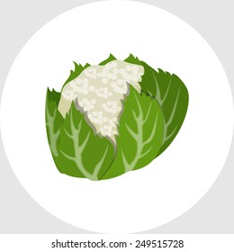 Cauliflower 