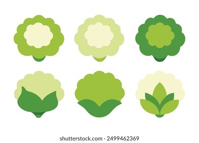Cauliflower Art Illustration Masterpieces design