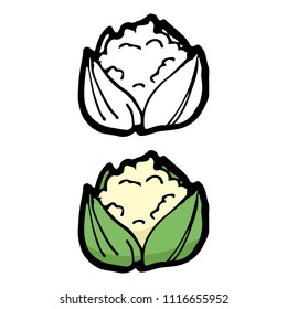 cauliflower and black and white cauliflower cartoon object, vector doodle art