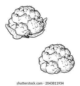 Cauliflower. Black And White Drawing. Vector Illustration, Isolated On A White Background.