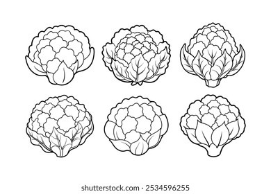 Blumenkohl (Brassica oleracea var. Botrytis)-Design, beschriftete Linienkunst, Vektorgrafik