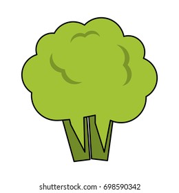 cauliflower or broccoli icon image
