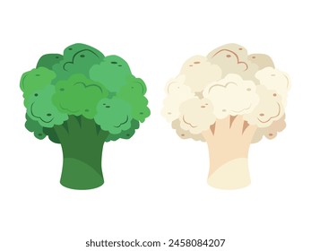 Cauliflower and broccoli set. Delicious and healthy vegetables. Vegetarianism. Vector illustration isolated on a white background for design and web.