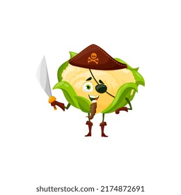 Cauliflower Cabbage Cartoon Character In Corsair Hat And Eye Patch With Sword In Hands Isolated. Vector Veggie Buccaneer Funny Bearded Cauliflower Kids Children Emoji, Healthy Food, Farm Hero