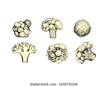 Cauliflower Cabbage collection botanical hand drawn Isolated vector illustration. Organic vegetarian product. Cauliflower set applicable for restaurant menu or packaging, label, poster. Engraving
