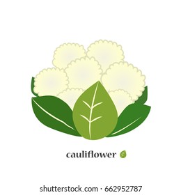 Cauliflower. Cabbage icon closeup.