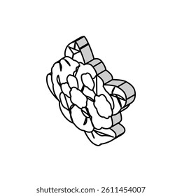 cauliflower cabbage isometric icon vector. cauliflower cabbage sign. isolated symbol illustration