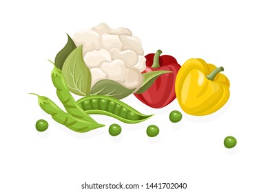Cauliflower, chilli, greens set. Store shop label isolated poster advertise
