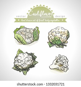 Cauliflower Collection of fresh vegetables with leaf. Vector illustration. Isolated	