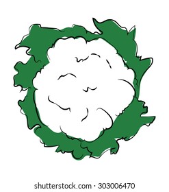 Cauliflower Colored Sketchy Vector Icon 