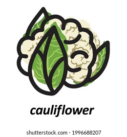 Cauliflower colorful with black bold line silhouette. Fresh cartoon different vegetable isolated on white background used for magazine, book, poster, card, menu cover, web pages, icon