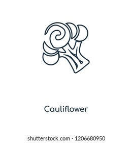 Cauliflower concept line icon. Linear Cauliflower concept outline symbol design. This simple element illustration can be used for web and mobile UI/UX.