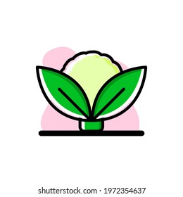 Cauliflower Conceptual Vector Icon Illustration Design eps10