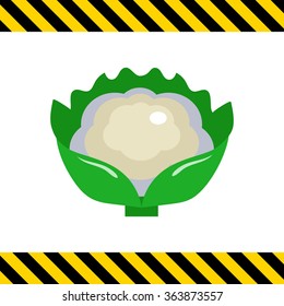Cauliflower curd icon