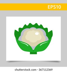 Cauliflower curd icon