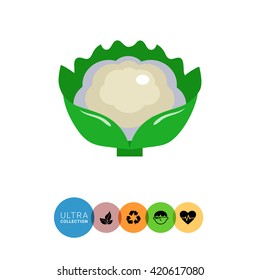 Cauliflower curd icon