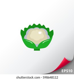 Cauliflower curd icon