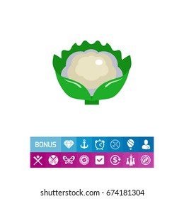 Cauliflower curd icon