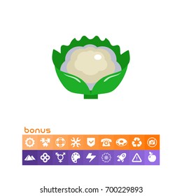 Cauliflower curd icon