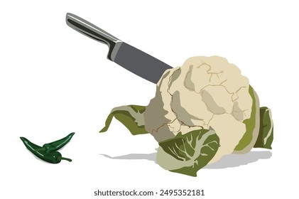 Cauliflower cut by big knife and green jalapeno vector illustration.