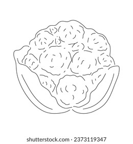 Cauliflower doodle icon. Hand drawn black sketch. Vector editable stroke.