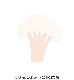 cauliflower doodle style vector element. handdraw