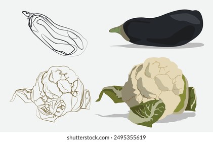 Cauliflower and eggplant full color and line shape art.