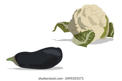 Cauliflower and eggplant isolated on white background.