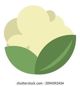 cauliflower flat clipart vector illustration