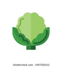 Cauliflower Flat Icon Logo Illustration Vector Isolated. Chinese Food and Restaurant Icon-Set. Suitable for Web Design, Logo, App, and Upscale Your Business.