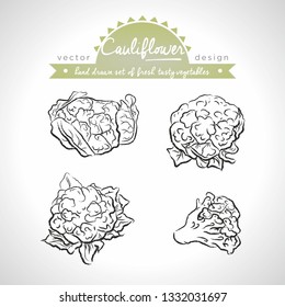 Cauliflower. Hand drawn collection of vector sketch detailed fresh vegetables. Isolated	