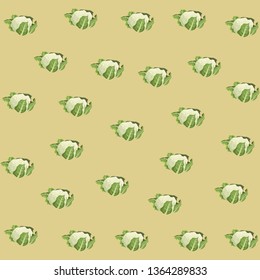 cauliflower icon cartoon