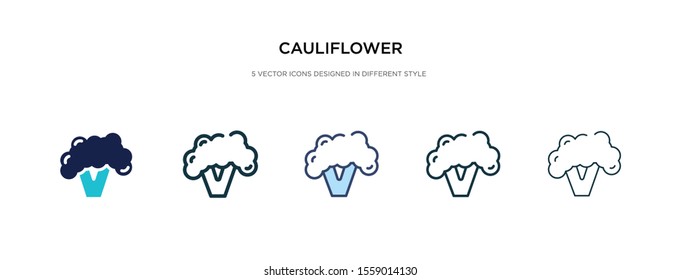 cauliflower icon in different style vector illustration. two colored and black cauliflower vector icons designed in filled, outline, line and stroke style can be used for web, mobile, ui