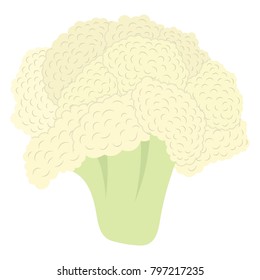 Cauliflower icon. Flat color design. Vector illustration.
