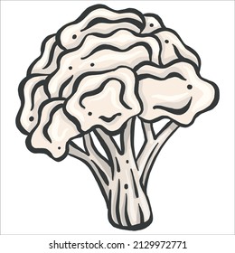 Cauliflower icon in a flat design on a white background