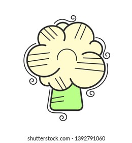 Cauliflower icon in flat style. Isolated object. Cauliflower logo. Organic food. 