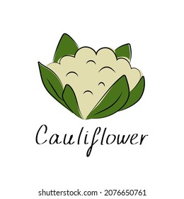 Cauliflower icon in flat style. Isolated object. Cauliflower logo. Isolated object. Organic vegetable food. Vector illustration