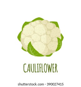 Cauliflower icon in flat style.  Isolated object. Cauliflower logo. Isolated object. Vegetable from the garden. Organic food. Vector illustration. 