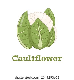 Blumensymbol im flachen Stil.Isolierte Objekt.Blumenlogo. Einziger Gegenstand.Gemüse aus dem Garten.Bio-Lebensmittel.