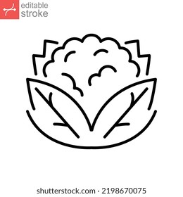 cauliflower icon. Organic Vegetables logo Cabbage. vegetable and diet from the garden. Organic healthy food. Outline style. Editable stroke vector illustration design on white background. EPS 10