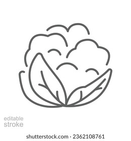 Cauliflower icon. Organic Vegetables logo Cabbage. vegetable and diet from the garden. Organic healthy food. Outline style. Editable stroke vector illustration design on white background. EPS 10