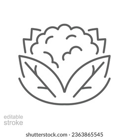 cauliflower icon. Organic Vegetables logo Cabbage. vegetable and diet from the garden. Organic healthy food. Outline style. Editable stroke vector illustration design on white background. EPS 10