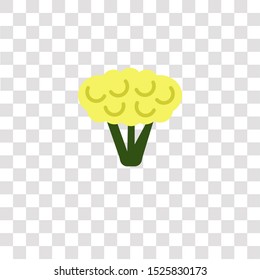 cauliflower icon sign and symbol. cauliflower color icon for website design and mobile app development. Simple Element from gastronomy set collection for mobile concept and web apps icon.
