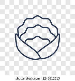 Cauliflower icon. Trendy linear Cauliflower logo concept on transparent background from Fruits and vegetables collection